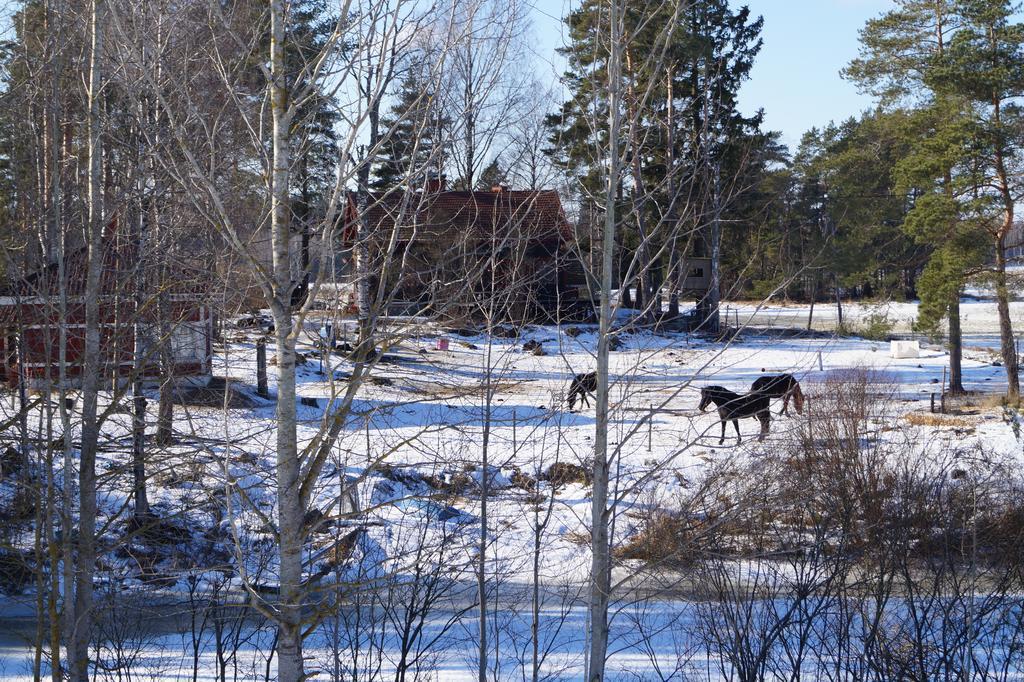 Silfvastas Holiday Homes Lapinjärvi Екстериор снимка